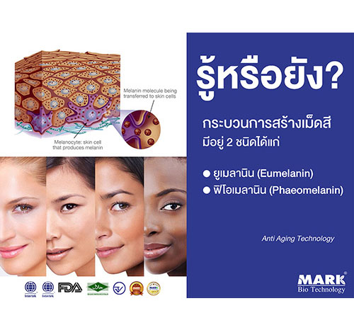 ตัวอย่างผลงานออกแบบกราฟิกและบรรจุภัณฑ์