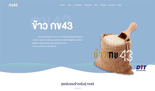 ตัวอย่างผลงานออกแบบเว็บไซต์
