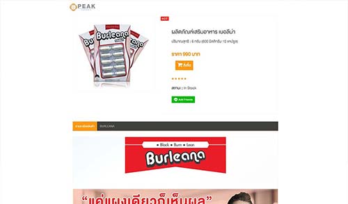 ตัวอย่างผลงานออกแบบเว็บไซต์
