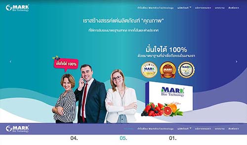 ตัวอย่างผลงานออกแบบเว็บไซต์