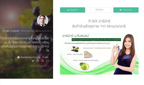 ตัวอย่างผลงานออกแบบเว็บไซต์