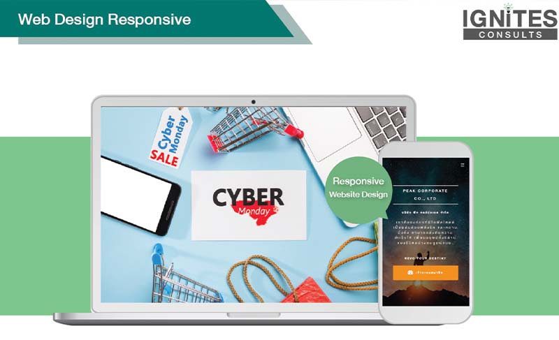 ออกแบบเว็บไซต์